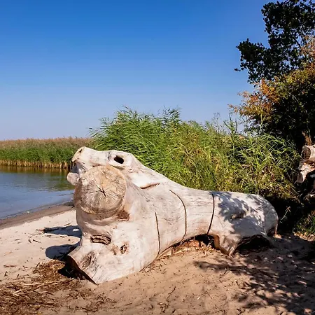 Storchennest - Komfortable Fuer 2-5 Personen Reestow