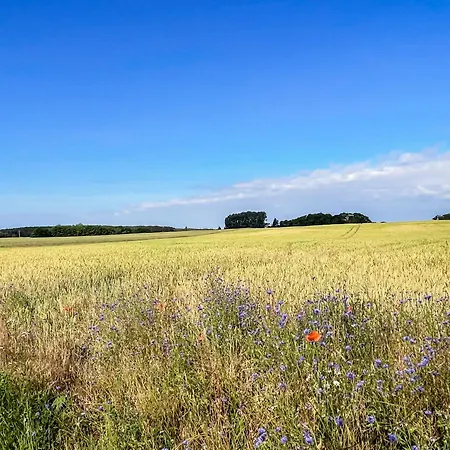 Storchennest - Komfortable Fuer 2-5 Personen Appartement *