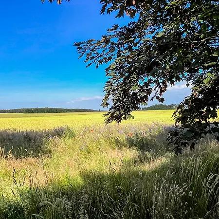 Storchennest - Komfortable Fuer 2-5 Personen